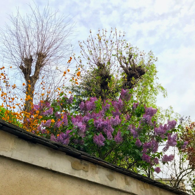 Good Morning April 1