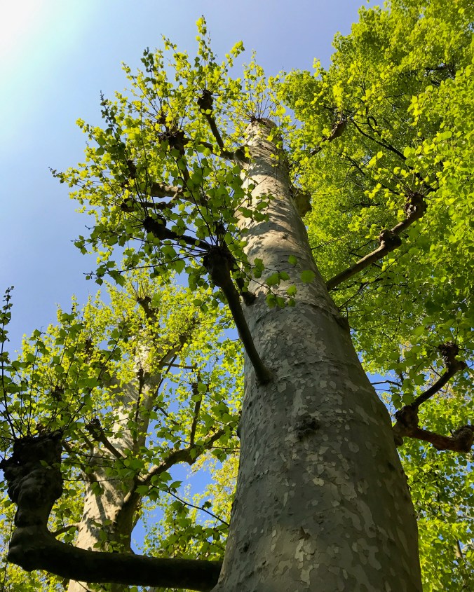 Good Morning April 9